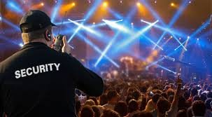 Concert Security